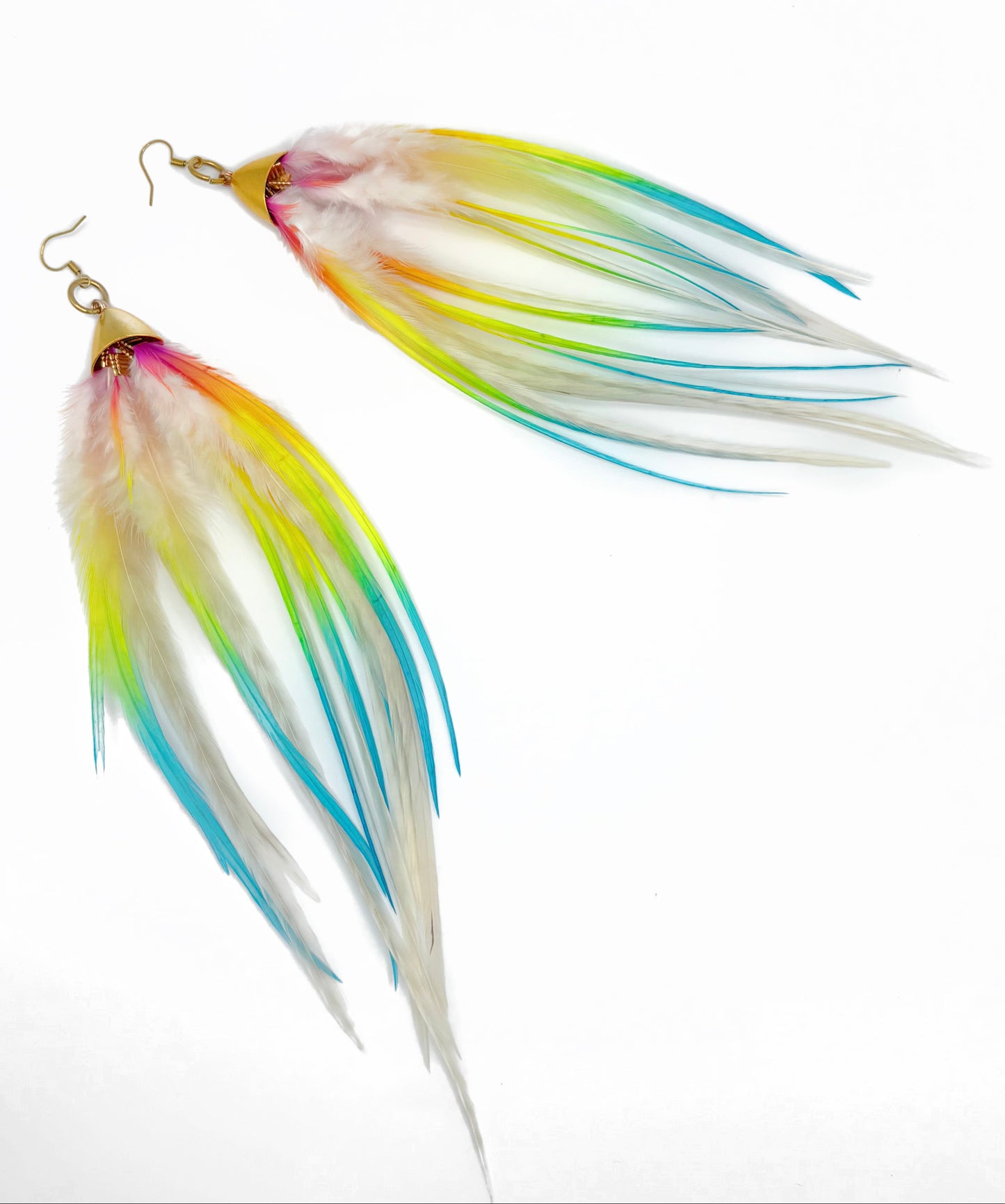 Long rainbow feather earrings.
