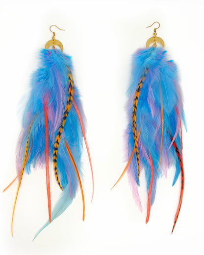 Colorful feather earrings on a white background