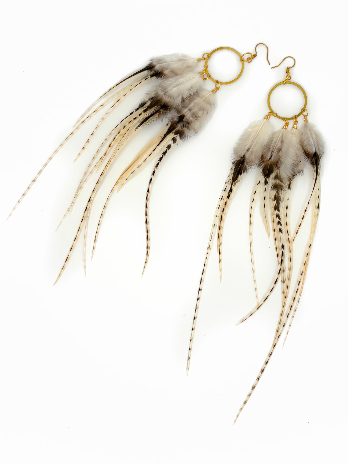 Feather earrings with gold loops on a white background