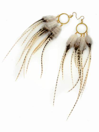 Feather earrings with gold loops on a white background