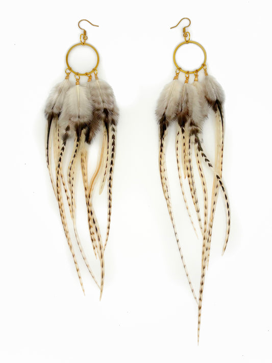 Feather earrings with gold hooks on a white background