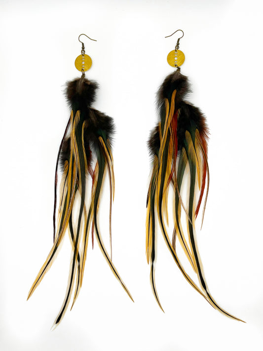 Extra long black golden badger feather earrings that hang from a circular gold pendant. 